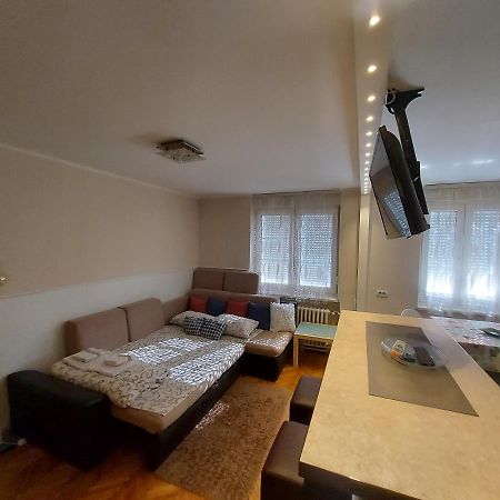 Central Apartment With Garage Νόβι Σαντ Εξωτερικό φωτογραφία
