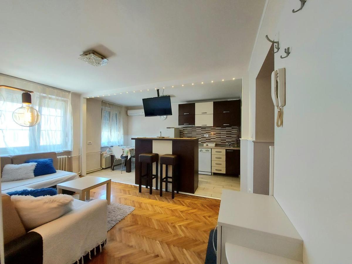 Central Apartment With Garage Νόβι Σαντ Εξωτερικό φωτογραφία