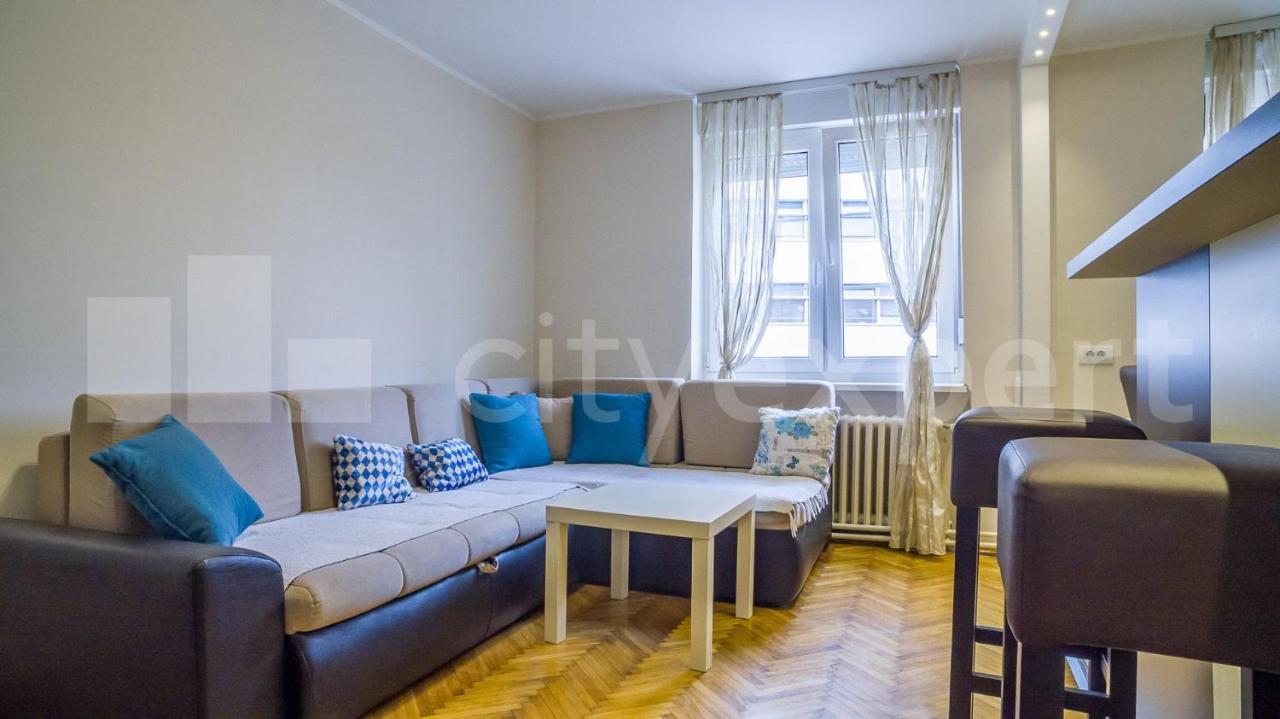 Central Apartment With Garage Νόβι Σαντ Εξωτερικό φωτογραφία