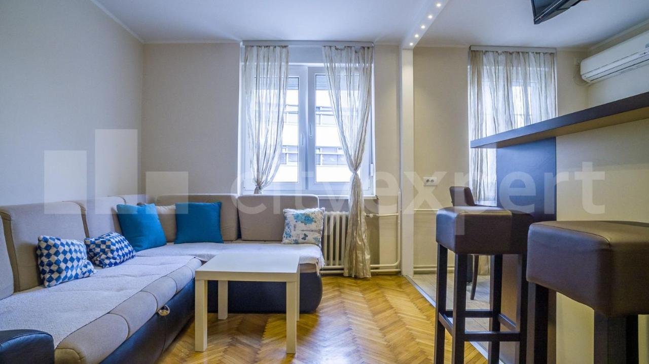 Central Apartment With Garage Νόβι Σαντ Εξωτερικό φωτογραφία