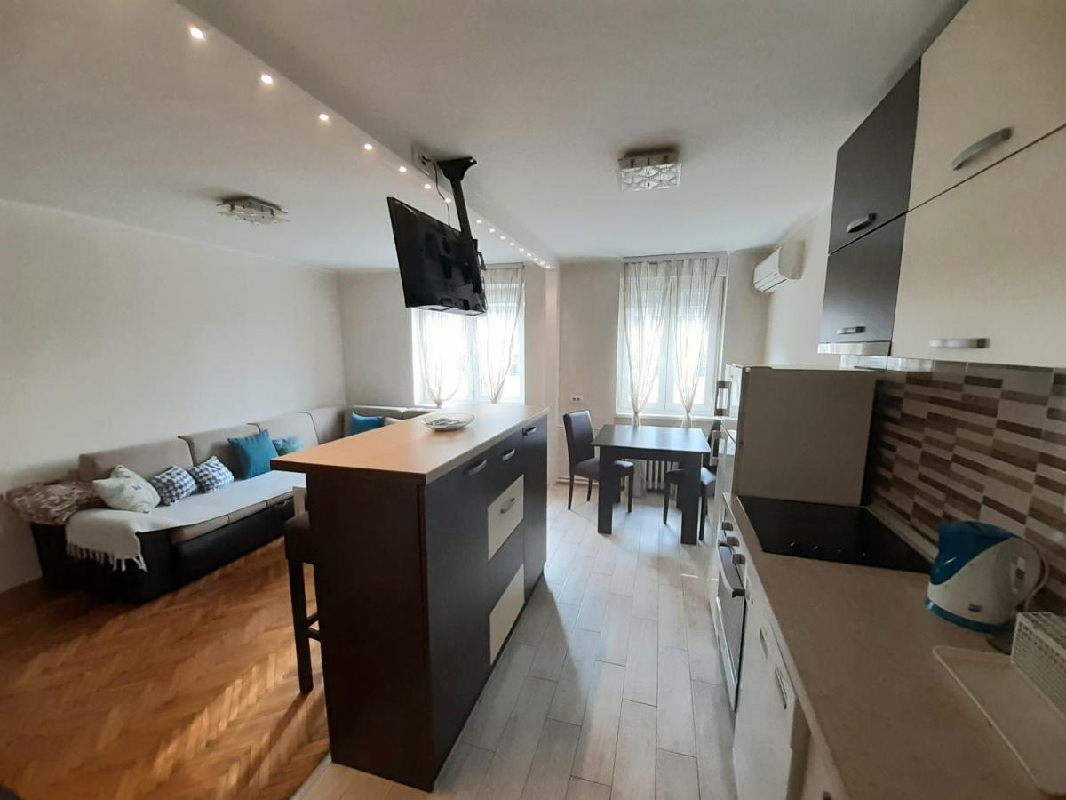 Central Apartment With Garage Νόβι Σαντ Εξωτερικό φωτογραφία